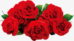 红色玫瑰元旦海报素材