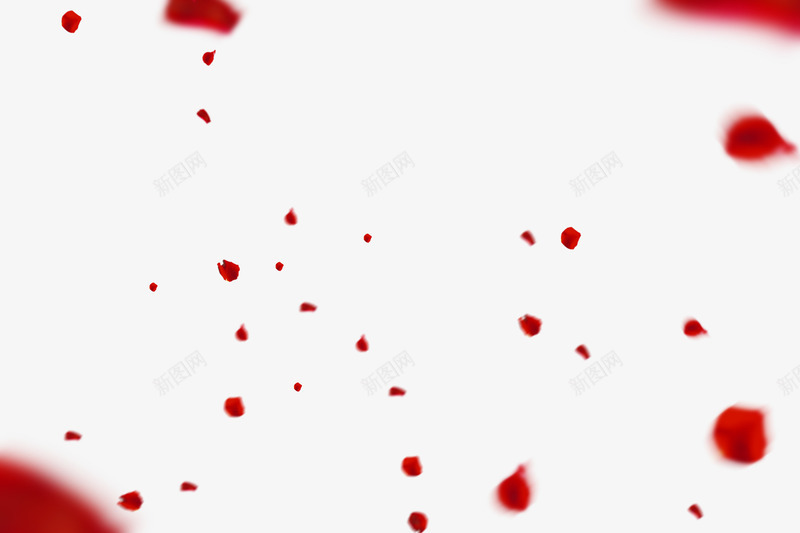 红色的玫瑰花瓣创意场景png免抠素材_88icon https://88icon.com 创意 场景 玫瑰 红色 花瓣