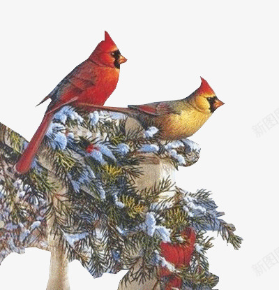 雪景在树枝上的鸟png免抠素材_88icon https://88icon.com 圣诞实景 树枝 雪景 鸟