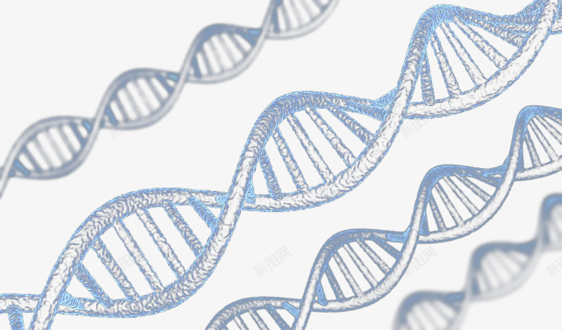DNA螺旋科技背景png免抠素材_88icon https://88icon.com DNA分子 DNA双螺旋结构图片 DNA结构图 DNA背景 DNA螺旋科技背景 交织DNA分子结构图 医疗保健 图片DNA 科学分子 科技背景