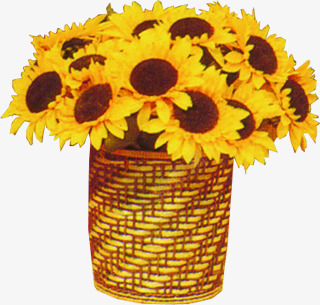 黄色向日葵花朵植物盆栽png免抠素材_88icon https://88icon.com 向日葵 植物 盆栽 花朵 黄色