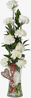 白色纯洁花朵盆栽素材