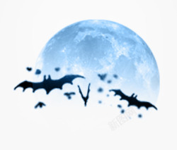 蓝色月亮下的蝙蝠素材