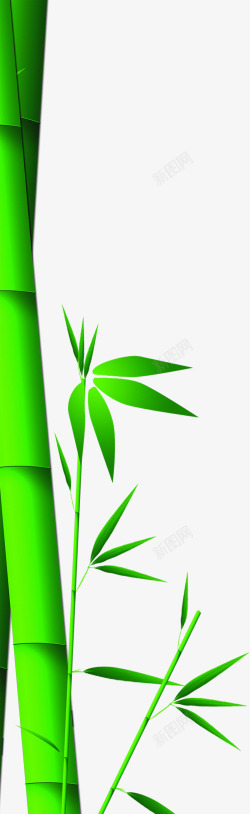 端午节绿色竹子竹叶素材