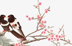 七夕鸟中国风树枝和鸟图画高清图片