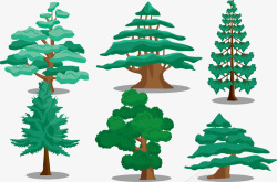 新西兰松树木绿色树木高清图片