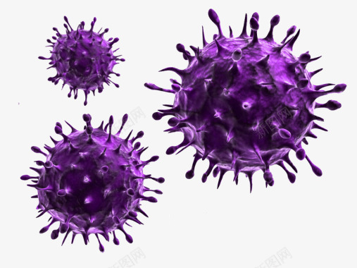 紫色病毒图标图标
