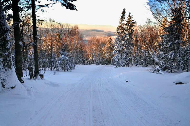 树林小路雪景psd免抠素材_88icon https://88icon.com 冬日雪景 城市街景 旅游风景