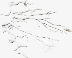 白色雪地树枝淘宝促销素材