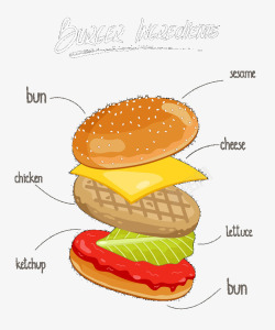 汉堡分解图说明素材