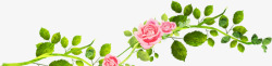 玫瑰花藤蔓藤子装饰素材