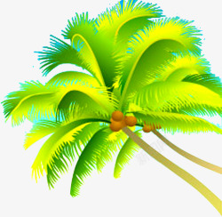 插画植物夏日清凉椰子树素材
