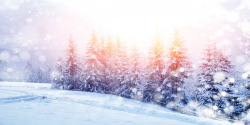 冬季雪花阳光风景素材
