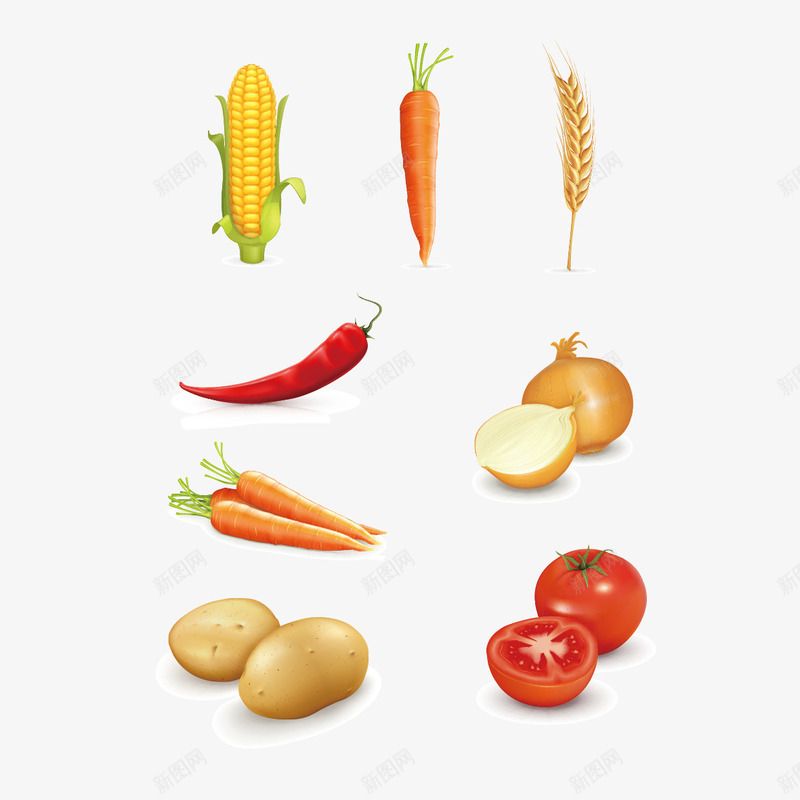 粮食和蔬菜矢量图ai免抠素材_88icon https://88icon.com 土豆 洋葱 玉米 辣椒 矢量图