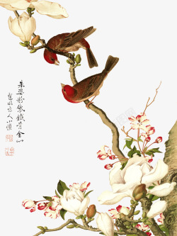 中国传统花素材中国风花鸟画PSD高清图片