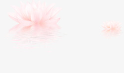 水中粉红色莲花水中花效果素材