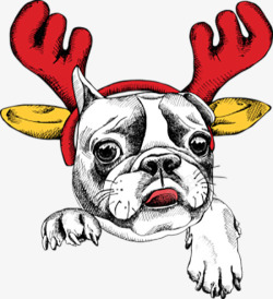 麋鹿角发箍戴着圣诞麋鹿角的哈皮狗高清图片