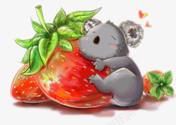 抱着草莓的考拉素材
