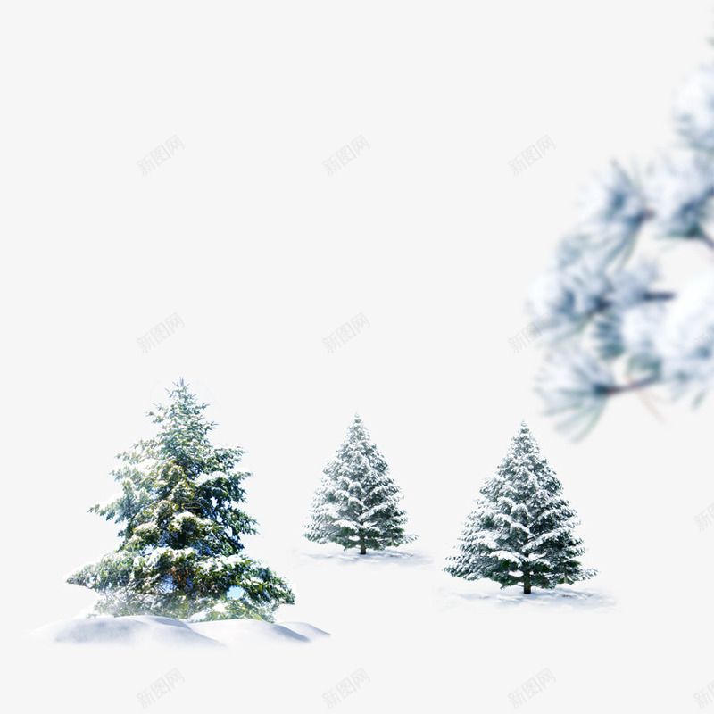 雪树png免抠素材_88icon https://88icon.com 树 雪 雪松