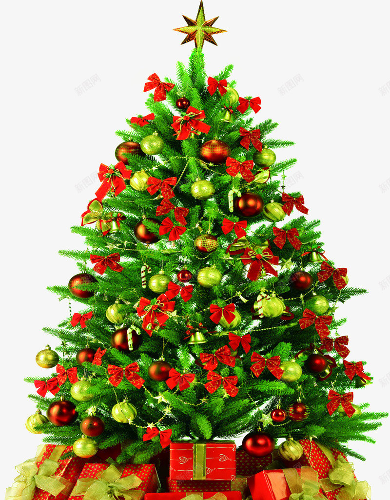 手绘圣诞节植物红色礼物png免抠素材_88icon https://88icon.com 圣诞节 植物 礼物 红色