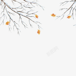 白雪皑皑冬季植物高清图片