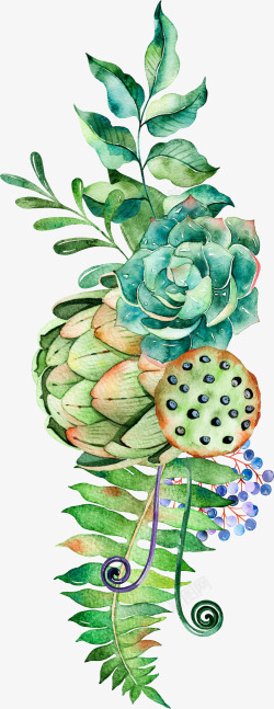 蕨类插画植物装饰图案高清图片