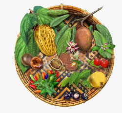 簸箕水果植物辣椒素材