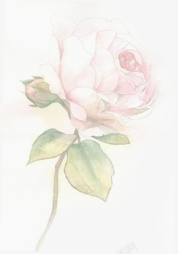 爱在母亲节海报手绘玫瑰感恩母亲节海报高清图片