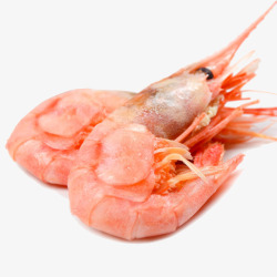 高档海鲜刺身牡丹虾素材