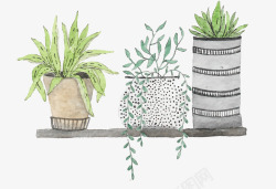手绘绿色植物盆栽矢量图素材