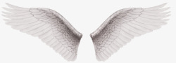 白色对称翅膀素材