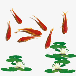 红色金鱼荷叶莲花素材