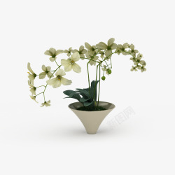 白色鲜花束盆栽素材