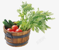 蔬菜篮子素材