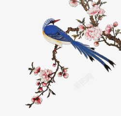 中国风清新花鸟装饰图案素材