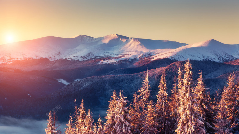 阳光大山雪在树林png免抠素材_88icon https://88icon.com 大山 树林 阳光