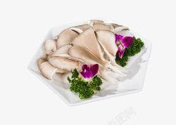 生鲜食品背景生鲜平菇高清图片