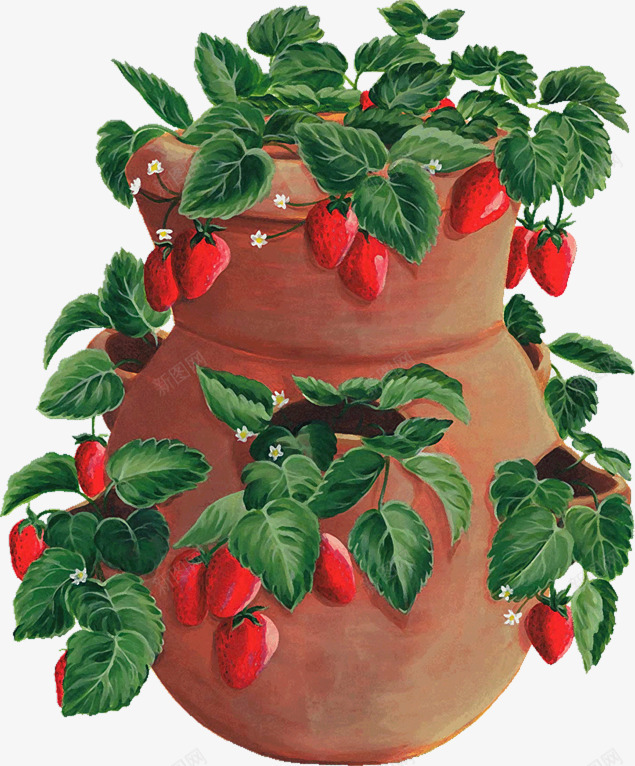 爬满缸的草莓png免抠素材_88icon https://88icon.com 叶子 大缸 草莓 草莓素材