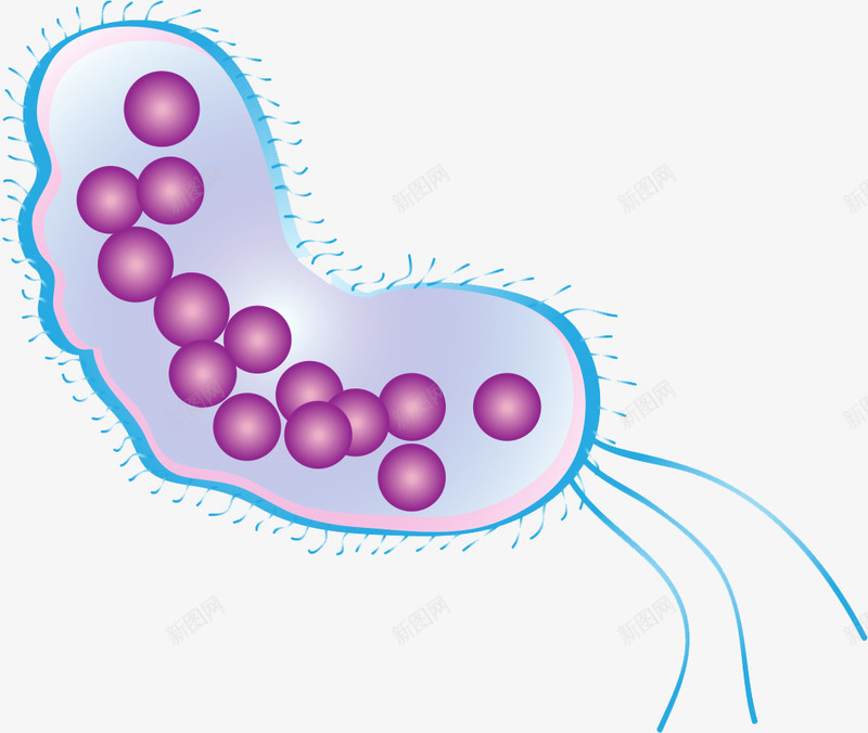 病毒细菌png免抠素材_88icon https://88icon.com 医学 微生物 感染 虫形细菌