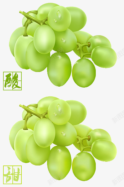 葡萄png免抠素材_88icon https://88icon.com 提子 植物 水果 水珠 绿色 逼真 食物