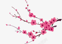 粉色中国风花枝枝条素材