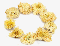 创意圆环贡菊素材