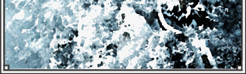 大雪节气海报png_88icon https://88icon.com 大雪 大雪海报 文案排版 松树 素材海报 节气