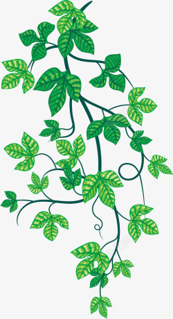 卡通绿色树叶藤蔓装饰矢量图素材