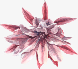 手绘红色大花花朵素材