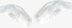 翅膀白色软绵绵翅膀素材