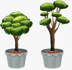 两盆不同类型树素材