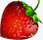 手绘质感红色的草莓效果素材