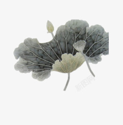 荷叶水墨素材