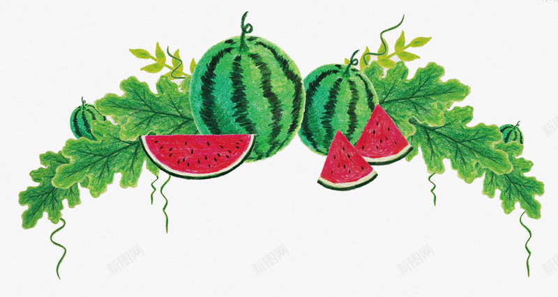 手绘彩色铅笔西瓜西瓜叶装饰背景png免抠素材_88icon https://88icon.com 彩色铅笔西瓜 彩色铅笔西瓜叶 手绘装饰 手绘装饰背景 手绘西瓜 手绘西瓜叶 装饰西瓜